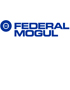 «Федерал Могул Набережные Челны» автоматизирует учет по GAAP  с помощью «Хомнет:МСФО» 
