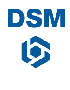 Завершен проект внедрения «Хомнет:МСФО» в российском офисе крупнейшего химического концерна DSM